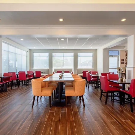 Hilton Garden Inn Tampa Northwest/Oldsmar-3