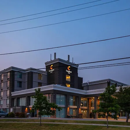 Comfort Inn & Conference Centre Toronto Airport-3