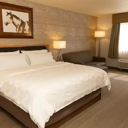Holiday Inn Spearfish-Convention Center By Ihg-2