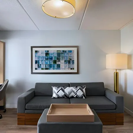 Springhill Suites By Marriott Pittsburgh Washington-3