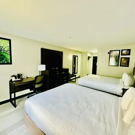 La Quinta By Wyndham Rome-2