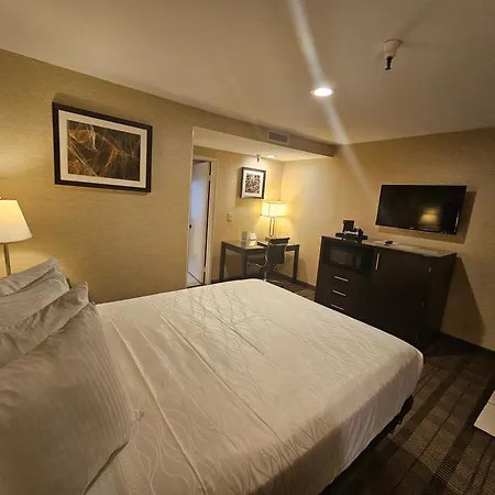Best Western Pasadena Royale Inn & Suites-3