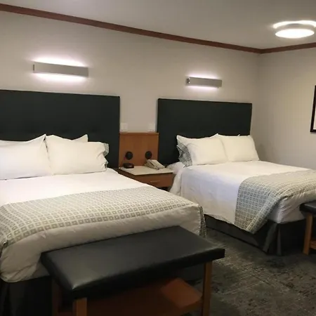 Mount Robson Inn-2