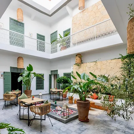 Riad Villa Wengé&Spa-3