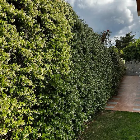 B&B La Dolce Sosta-3