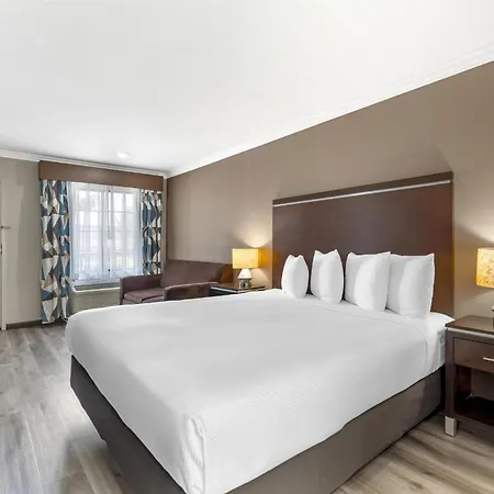 Best Western Redondo Beach Galleria Hotel - Beach City La-2