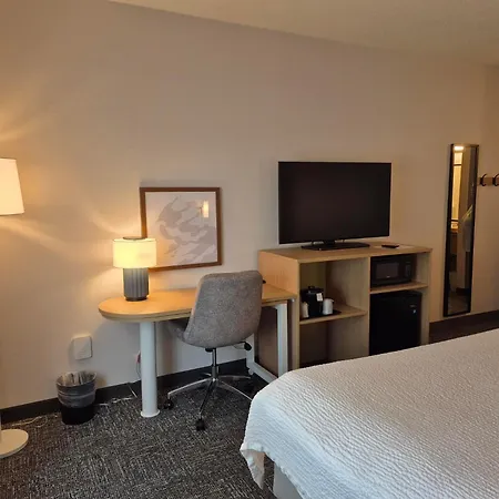 Spark By Hilton Lancaster-3