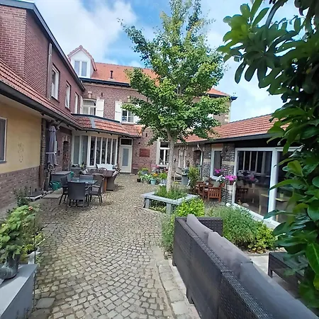 Ferrum Ferrum-3