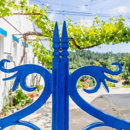 Lameira Da Longra - Wellness Retreat-2