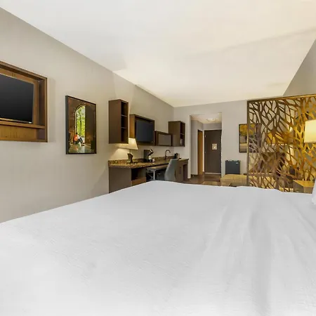 Best Western Plus Franciscan Square Inn & Suites Steubenville-2