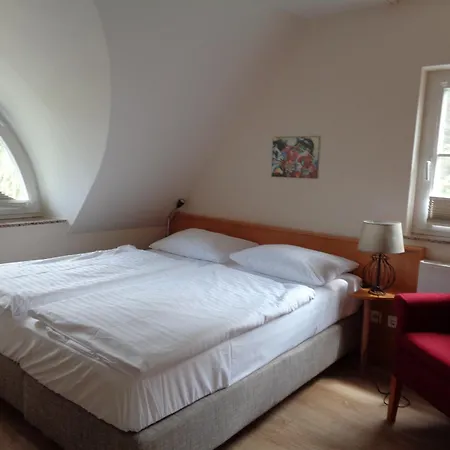 Hotel Fürst Jaromar-2