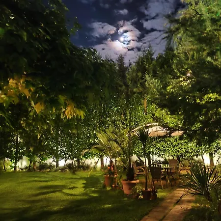 Park Hotel Amfora -Free Parking-2