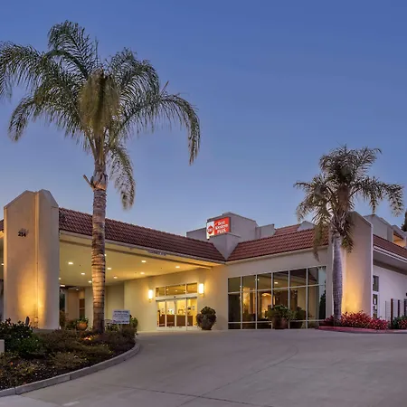 Best Western Plus Royal Oak Hotel-2
