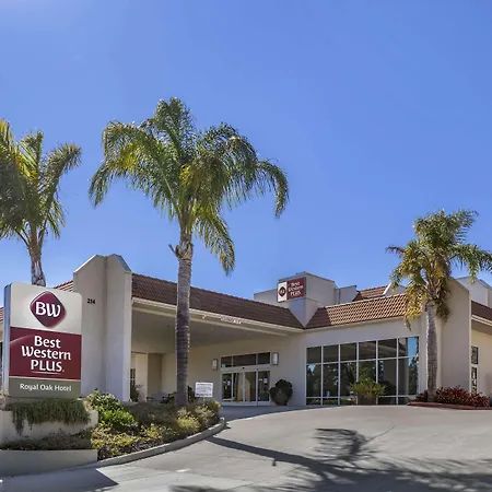 Best Western Plus Royal Oak Hotel-3