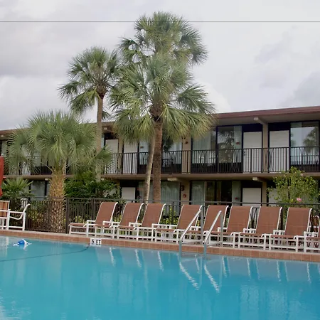Magic Tree Resort-3