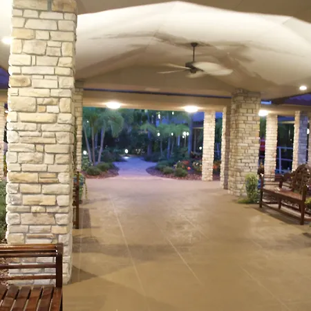 Magic Tree Resort-2