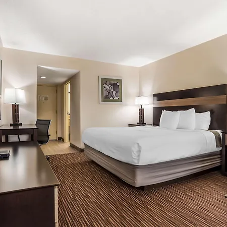 Best Western Oak Manor-3