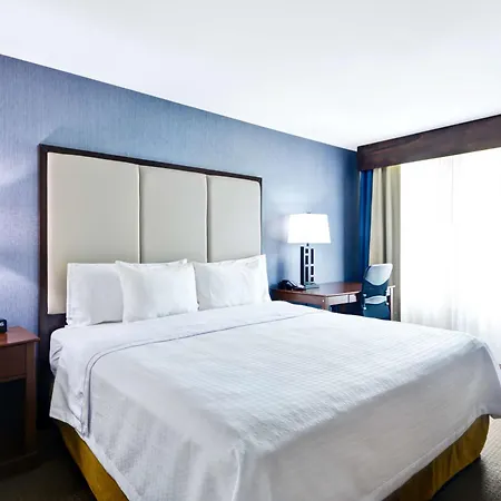 Homewood Suites By Hilton Dallas-Lewisville-3