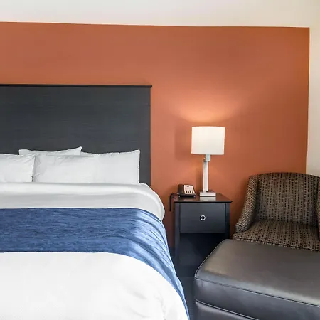 Comfort Inn Wings Stadium-2