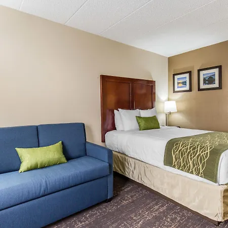 Comfort Inn College Park North-2