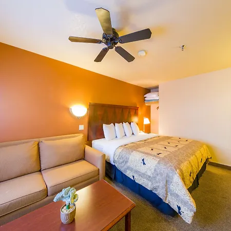 Alpine Inn & Suites Gunnison-3