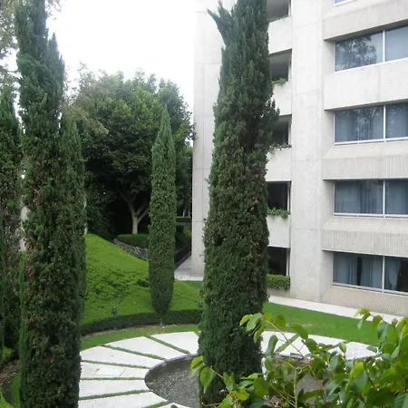 Royal Pedregal-2