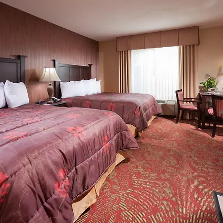 Castle Inn And Suites Anaheim-2