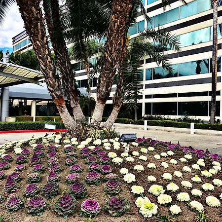 Sheraton Ontario Airport Hotel-3