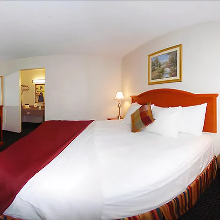 Best Western Palestine Inn-3