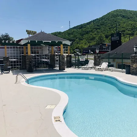 Quality Inn & Suites Biltmore East-3