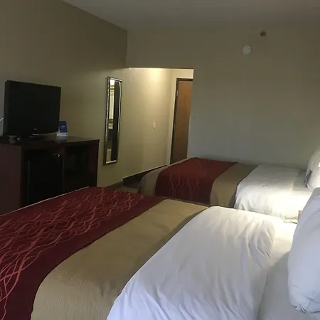 Comfort Inn Lexington I-75-3