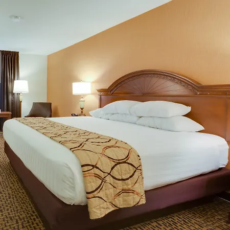 Wingate By Wyndham St Louis-Fenton Route 66-2