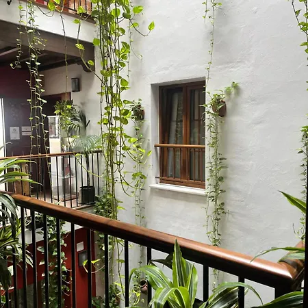 Hostal Al-Andalus-2