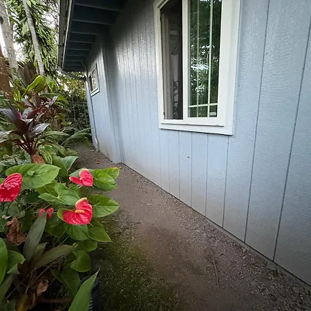 Hawaiian Ohana Home-3