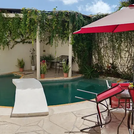 Bed And Breakfast Pecari-3