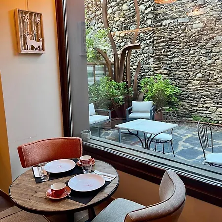 Hotel Boutique La Neu-2