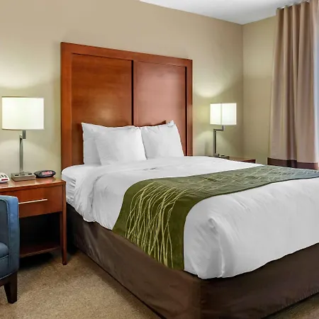 Comfort Inn Albuquerque Airport-2