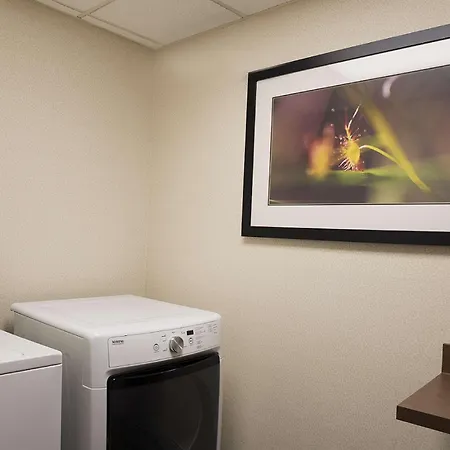 Hampton Inn Mount Pleasant-2