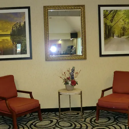 Comfort Inn Birch Run - Frankenmuth-3