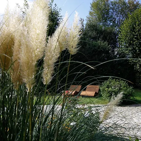 Best Western Premier Bayerischer Hof Miesbach-2