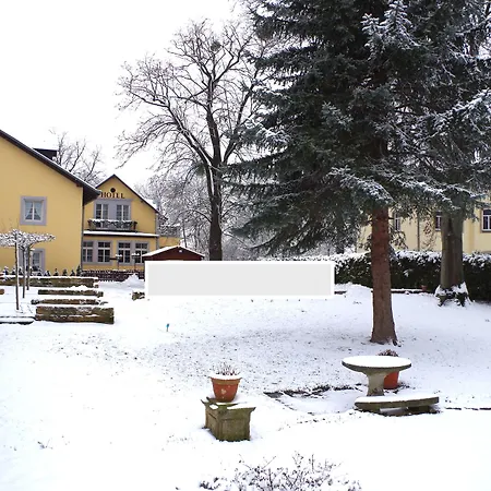Hotel Alttolkewitzer Hof-3