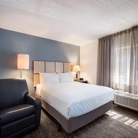 Sonesta Simply Suites Detroit Troy-2