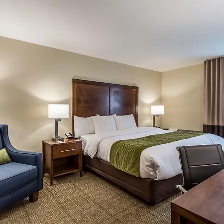 Comfort Inn & Suites Albuquerque Downtown-2