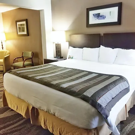 Wingate By Wyndham Raleigh Durham / Airport-3
