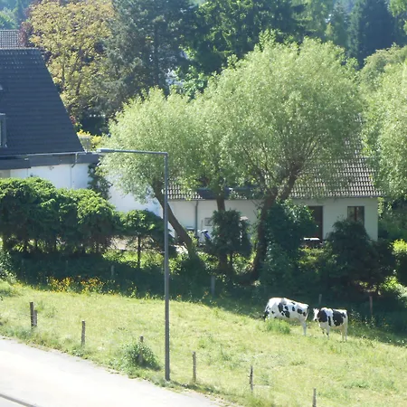 Hotel Buschhausen-2