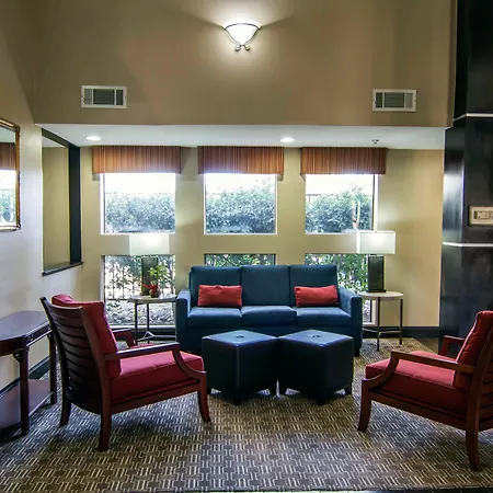 Comfort Inn & Suites Love Field-Dallas Market Center-2