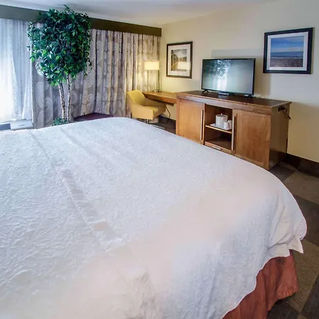 Hampton Inn South Haven-2