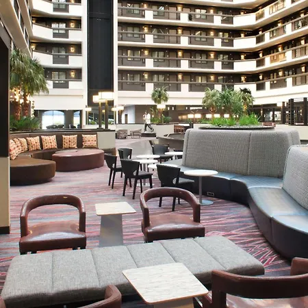 Embassy Suites By Hilton Las Vegas-3