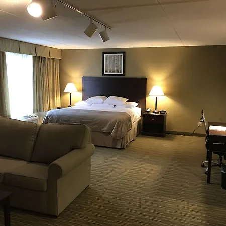 Wyndham Garden Ann Arbor-3
