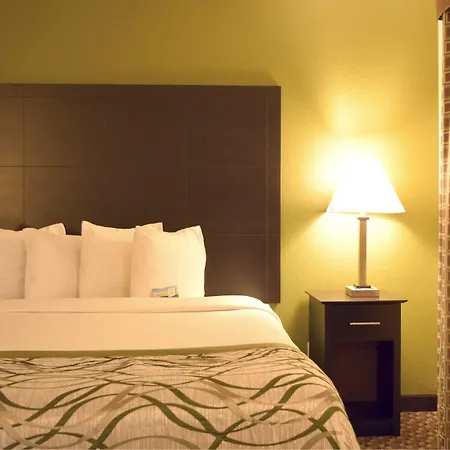 Baymont By Wyndham Holland-2